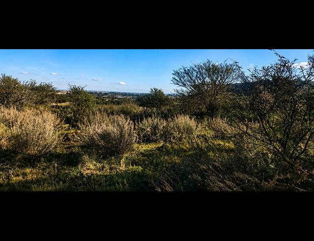 14.80HA FARM FOR SALE IN BLESBOKLAAGTE